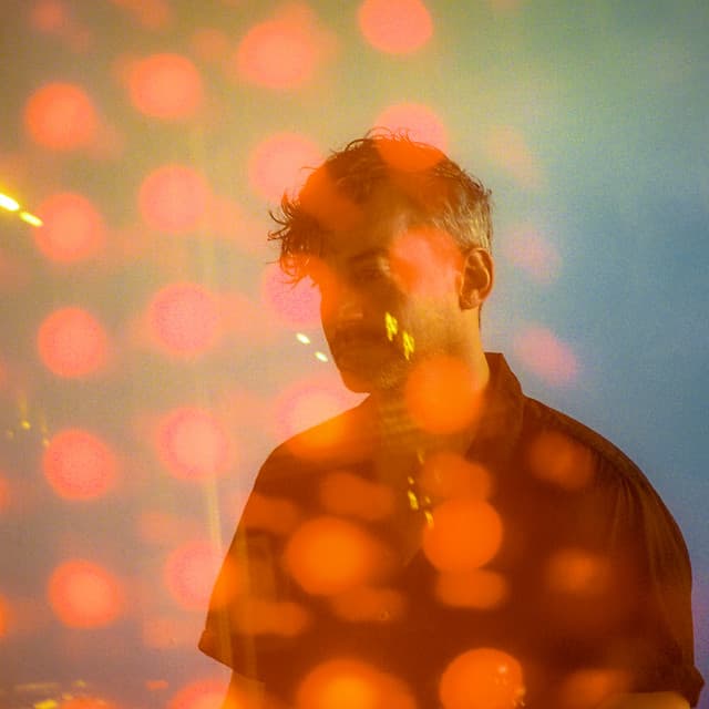 Bonobo